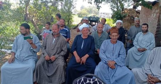يوم حقلى إرشادى لمزارعى "الفواقسة" بالشرقية لزيادة محصول الذرة