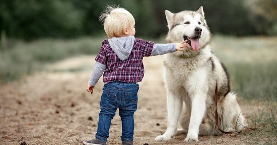 4 أبراج أطفالها يمكنهم تحمل مسئولية تربية الحيوانات الأليفة