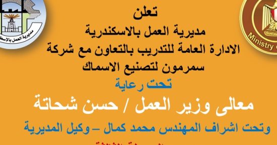 وزارة العمل: انطلاق المرحلة 3 من تدريب الشباب على مهنة تصنيع الأسماك بالإسكندرية