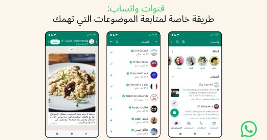 ميتا تعلن إطلاق خاصية قنوات واتساب فى مصر 
