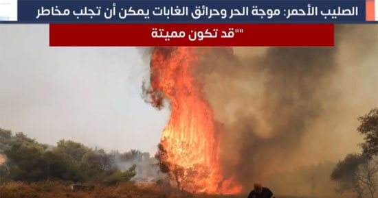 حرائق الغابات تقتل وتصيب العشرات وتجلى المئات حول العالم.. فيديو