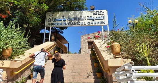 أشجار فريدة ونباتات نادرة.. الحديقة النباتية فى أسوان مزار سياحى عالمى