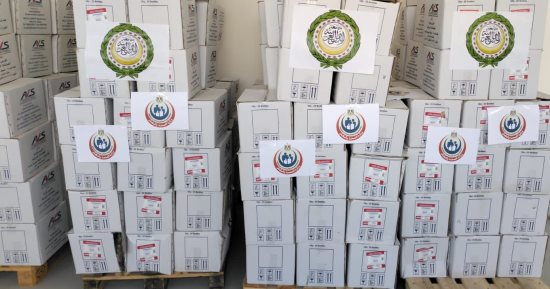 الجامعة العربية توفر احتياجات دعم القطاع الصحى بالسودان بالتعاون مع مصر