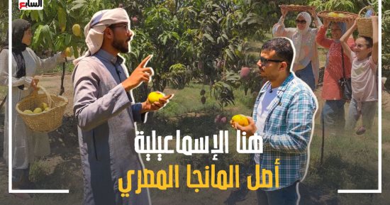برنامج صندوق محسوب يرصد حصاد المانجو بالإسماعيلية.. موسم استثنائى وزوار من كل أنحاء العالم يشاركون فى جمع المحصول ويقضون يوما كاملا بالمزارع .. "لحم مندى" و"فطير مشلتت" على المائدة وصيد أسماك آخر اليوم.. فيديو