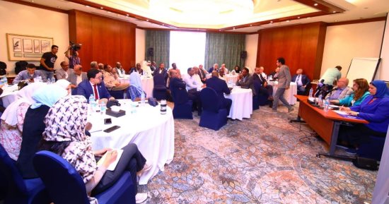 المنظمة العربية لحقوق الإنسان: نعمل على حقن الدماء فى السوان