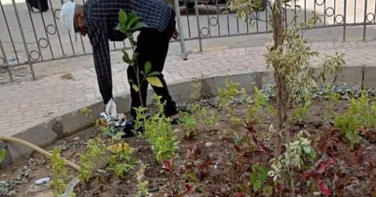 رفع كفاءة ميدان عرامة وزراعة أشجار مثمرة بالإسكندرية ضمن "100 مليون شجرة"