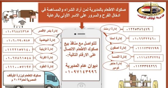 أوقاف الأقصر تعلن بيع 405 صكوك ضمن مشروع صكوك الإطعام فى المدن المختلفة