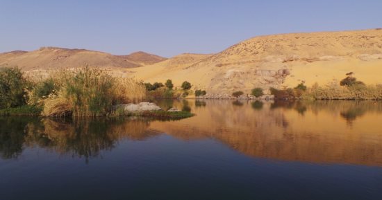 "سالوجا وغزال".. محمية طبيعية وجزيرة ساحرة وسط النيل بأسوان (صور)