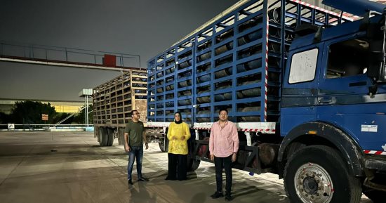 ضبط 3500 لتر سولار و1276 أسطوانة غاز قبيل بيعها بالسوق السوداء فى الدقهلية