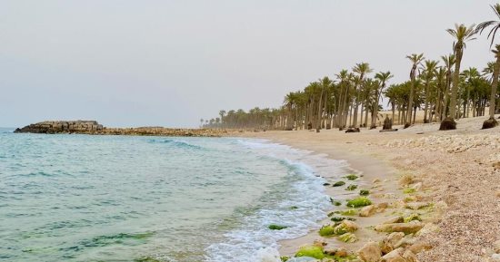 فيها حاجة حلوة.. مدينة العريش جنة الله على أرض الفيروز