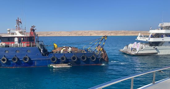 إطلاق أول 3 مواقع غوص لحماية الشعب المرجانية بسواحل مدينة الغردقة.. صور