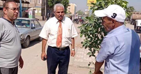 زراعة أشجار مثمرة وأخرى للزينة بمركزى ديرمواس وأبو قرقاص فى المنيا
