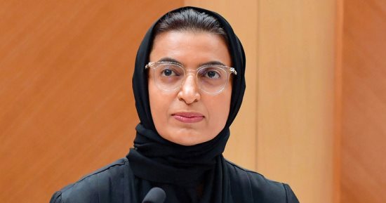 الإمارات تدعو إلى حشد العمل العالمى للتصدى لانعدام الأمن الغذائى