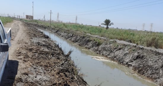 استمرار تطهير المصارف والمراوى بقطاع الـ5 آلاف فدان شمال سهل الحسنية ببورسيعد