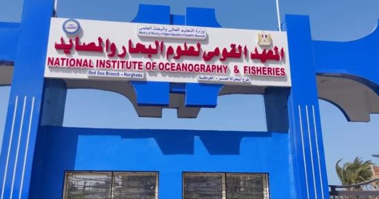 معهد علوم البحار يشكل لجنة لدراسة سواحل البحر المتوسط وانحسار مياهه