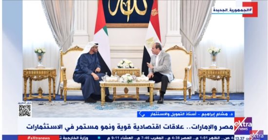 أستاذ تمويل: القيادة السياسية مهتمة بتواجد الإمارات بكثافة فى الاستثمار المصرى