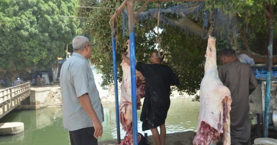 تحرير 15 محضر ذبح خارج المجزر وضبط 26 كيلو لحوم فى حملات بالأقصر.. صور