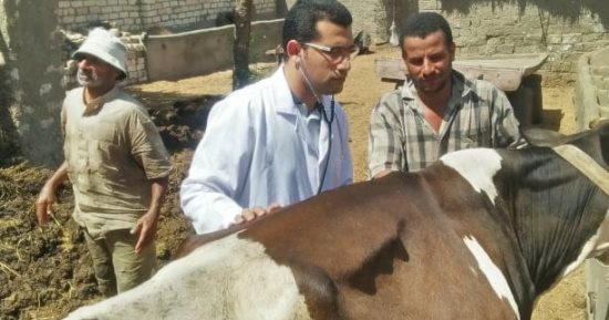 جامعة الزقازيق توجه قافلة بيطرية لقرية كفر أبو جبل في الشرقية