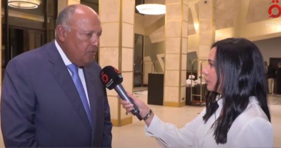 وزير الخارجية: الرؤية المصرية تشمل العمل بكل جهد لصالح الشعب السوداني