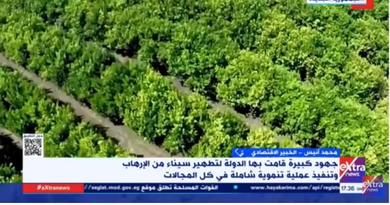 خبير لـ إكسترا نيوز: برنامج الإصلاح الاقتصادى وفر السيولة للمشاريع فى سيناء