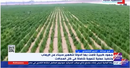 خبير لـ إكسترا نيوز: الدولة انشغلت بالتنمية فى سيناء لمواجهة الإرهاب
