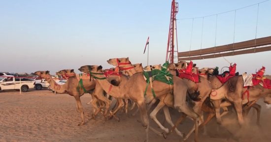 مدير البطولات باتحاد الهجن يكشف تفاصيل مهرجان الهجن بالعلمين.. فيديو
