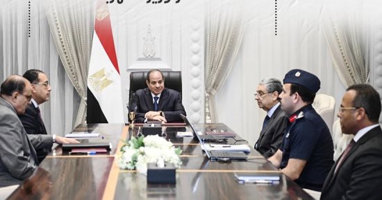 الرئيس السيسى يوجه باستكمال مشروع مستقبل مصر فى الزراعة والغذاء.. إنفوجراف