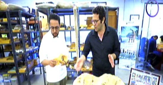 "مصر تستطيع" يبرز اكتشاف فريق علمى مصرى حوت عمره 41 مليون سنة بالفيوم