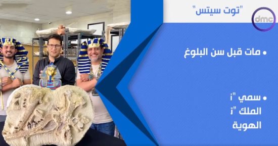 "مصر تستطيع" يعرض فيديوجراف عن اكتشاف الحوت "توت سيتس".. عاش قبل 41 مليون سنة