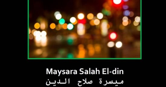 ترجمة إسبانية لديوان "أرقام سرية" لـ ميسرة صلاح الدين