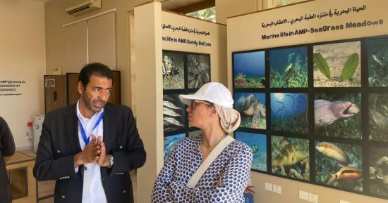 البيئة: تقارب بين التجربة الأردنية والمصرية في مجال حماية الطبيعة والسياحة البيئية