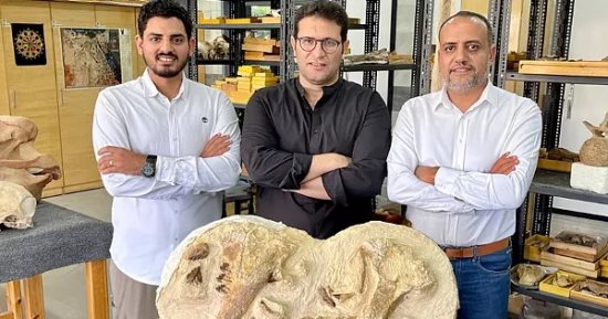 اهتمام عالمى باكتشاف "فرعون الحيتان" بعد عرض تفاصيله على DMC