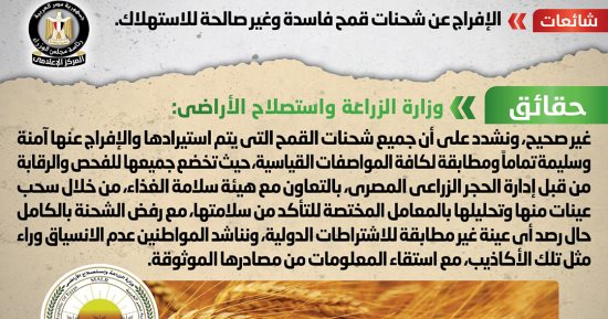 الحكومة تنفى الإفراج عن شحنات قمح فاسدة وغير صالحة للاستهلاك.. فيديو