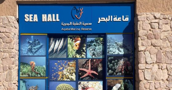 9 تشابهات بين التجربتين "المصرية والأردنية" فى حماية الطبيعة والسياحة البيئية