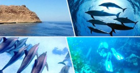 3 أماكن تستحوذ على سياحة الغوص فى البحر الأحمر والغردقة.. تعرف عليها