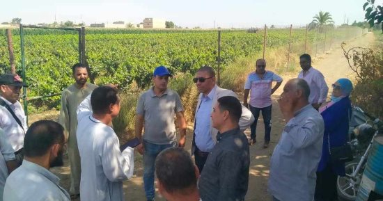 توفير أراضٍ لإنشاء محطات رفع ومعالجة لمياه الشرب والصرف الصحى بقرى المنيا