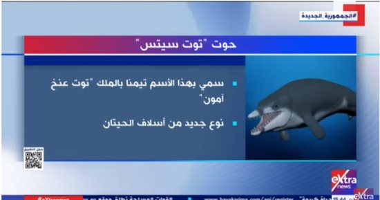 عاش قبل 41 مليون سنة.. إكسترا نيوز تعرض تقريرا حول اكتشاف حوت "توت سيتس"