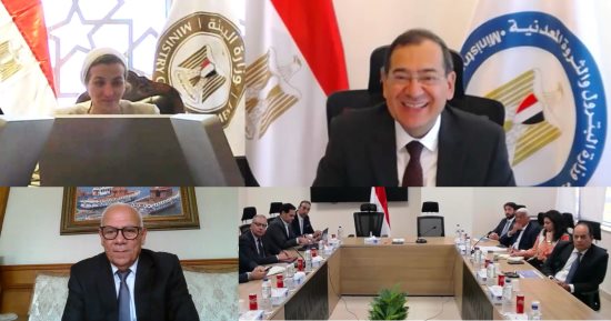 الملا يناقش مقترحات إينى لتنفيذ مشروع المخلفات الحيوانية والزراعية ببورسعيد