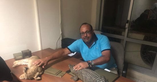 ضبط أسد وتمساح نيلى وثعبان فى حملة تفتيشية لإدارة المحميات بالغردقة.. صور