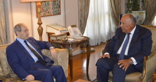 وزير الخارجية يبحث مع نظيره السورى سبل الحفاظ على سلامة سوريا الإقليمية