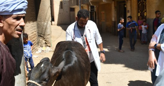 "طب بيطرى سوهاج" تنظم قافلة لقرية ادفا وتعالج 655 حالة بالمجان.. صور
