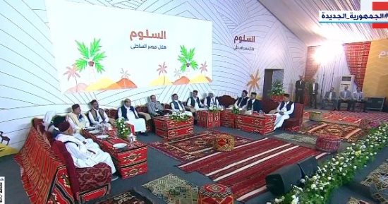 الرئيس السيسى: "ما فيش مكان فى مصر إلا وفيه شغل لصالح المواطنين" 
