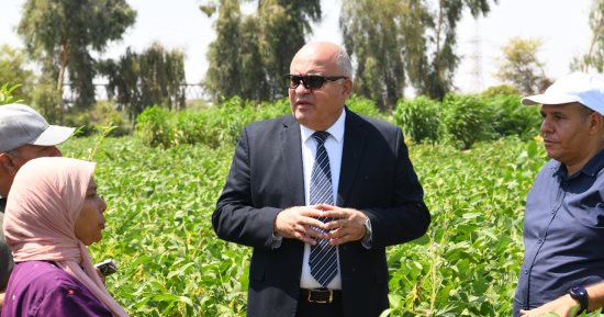 ضمن مشروع الـ1000 فدان.. محافظ قنا يتفقد محصول فول الصويا