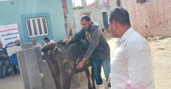 قافلة بيطرية بقرية الدواويس بالقصاصين في الإسماعيلية 