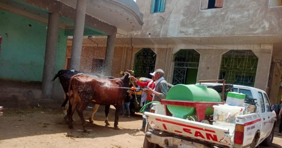 "حياة كريمة".. قافلة بيطرية مجانية بالعياط وتوعية الفلاحين بالتأمين على الماشية