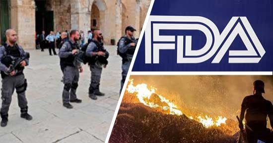 باختصار.. أهم الأخبار العربية والعالمية حتى الظهيرة.. استشهاد شاب فلسطينى برصاص الاحتلال بجنين.. كندا تأمر بإجلاء مدينة يلونايف بسبب حرائق الغابات.. محكمة استئناف أمريكية تقيد استخدام حبوب الإجهاض