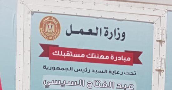وزارة العمل: وحدة تدريب مهنى متنقلة تتجه لأهالى مدينة نصر النوبة