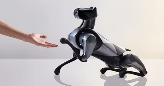 "CyberDog 2" كلب آلى مزود بالذكاء الاصطناعى يمكنه رقص الباليه.. صور