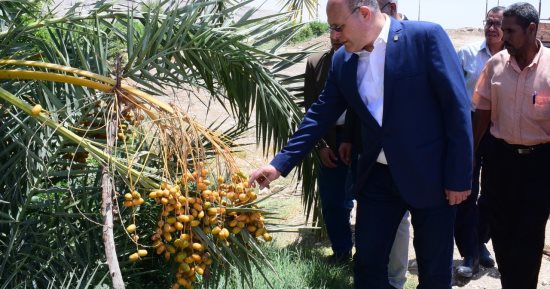 رئيس جامعة سوهاج: دعم مزارع الجامعة لتعظيم الدور الإنتاجى والبحثى 