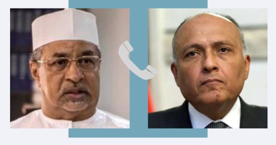 وزير الخارجية يؤكد تطلع مصر لاعتماد خطة عمل دول جوار السودان لحل الأزمة